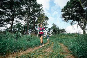 BIB: 
                            <button type="button" onclick="openModal(26037089)" class="btn btn-primary btn-sm float-right btn-popup" data-toggle="modal" data-target=".modal-high-quality">
                        <i class="fas fa-shopping-cart"></i> Add to Cart
                    </button>
                                            <button type="button" onclick="isThisMe(26037089, true)" class="btn btn-success btn-sm float-right btn-popup btn-isme hidden" data-toggle="tooltip" data-placement="bottom" title="นี่คือรูปของคุณใช่ไหม คลิกที่นี่เพื่อเอาเข้าอัลบั้ม">
                        <i class="fas fa-plus"></i> Add to album
                    </button>
                    <button type="button" onclick="isThisMe(26037089, false)" class="btn btn-warning btn-sm float-right btn-popup btn-isnotme hidden">
                        <i class="fas fa-ban"></i> Remove from album
                    </button>